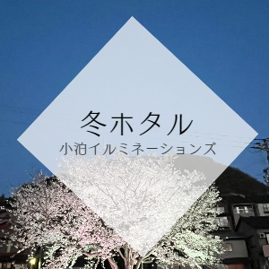 冬ホタル