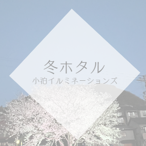 冬ホタル