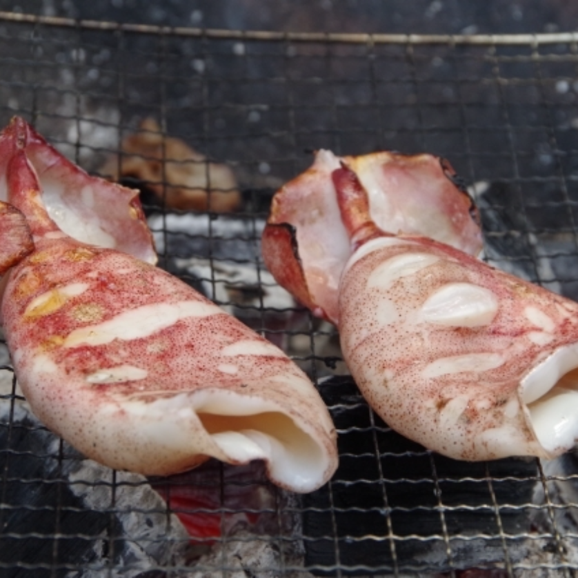 イカの浜焼き