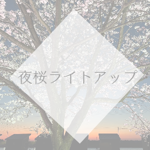 夜桜ライトアップ