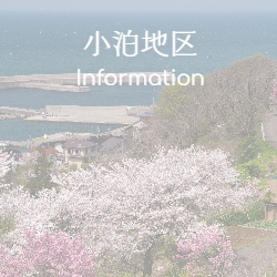 小泊地区