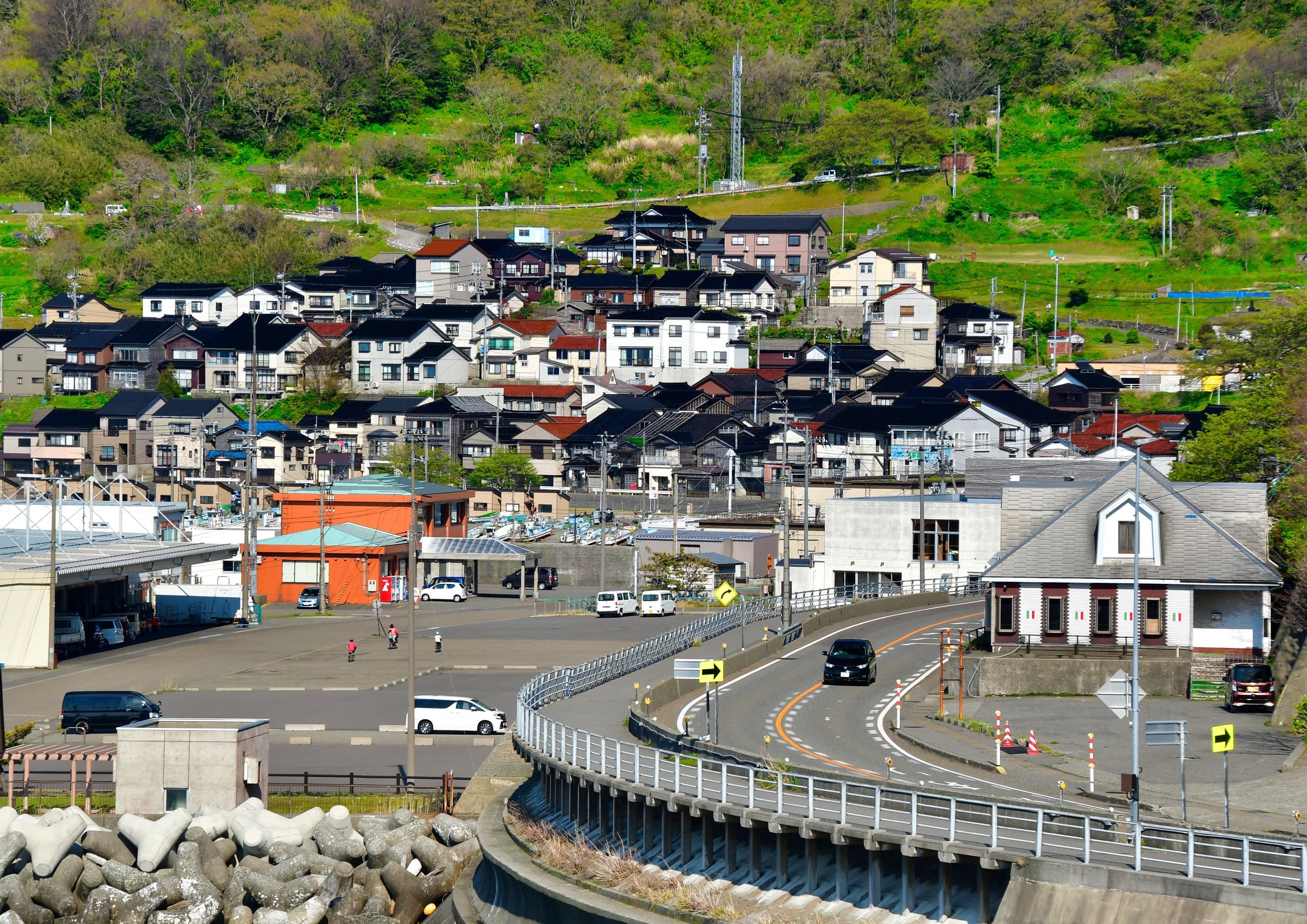 小泊の夏